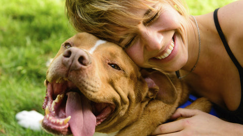 Lessons I've Learned from My Dog