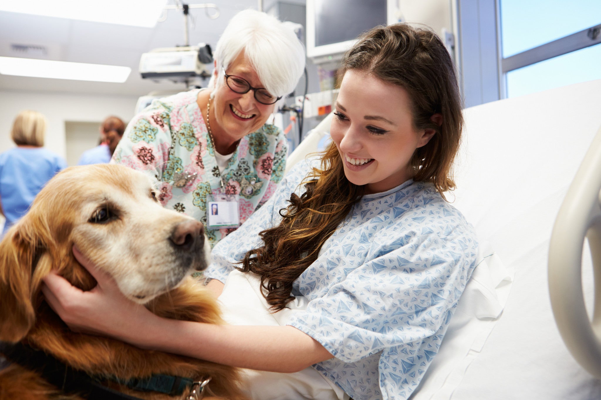How Therapy Dogs Can Help You Feel Better