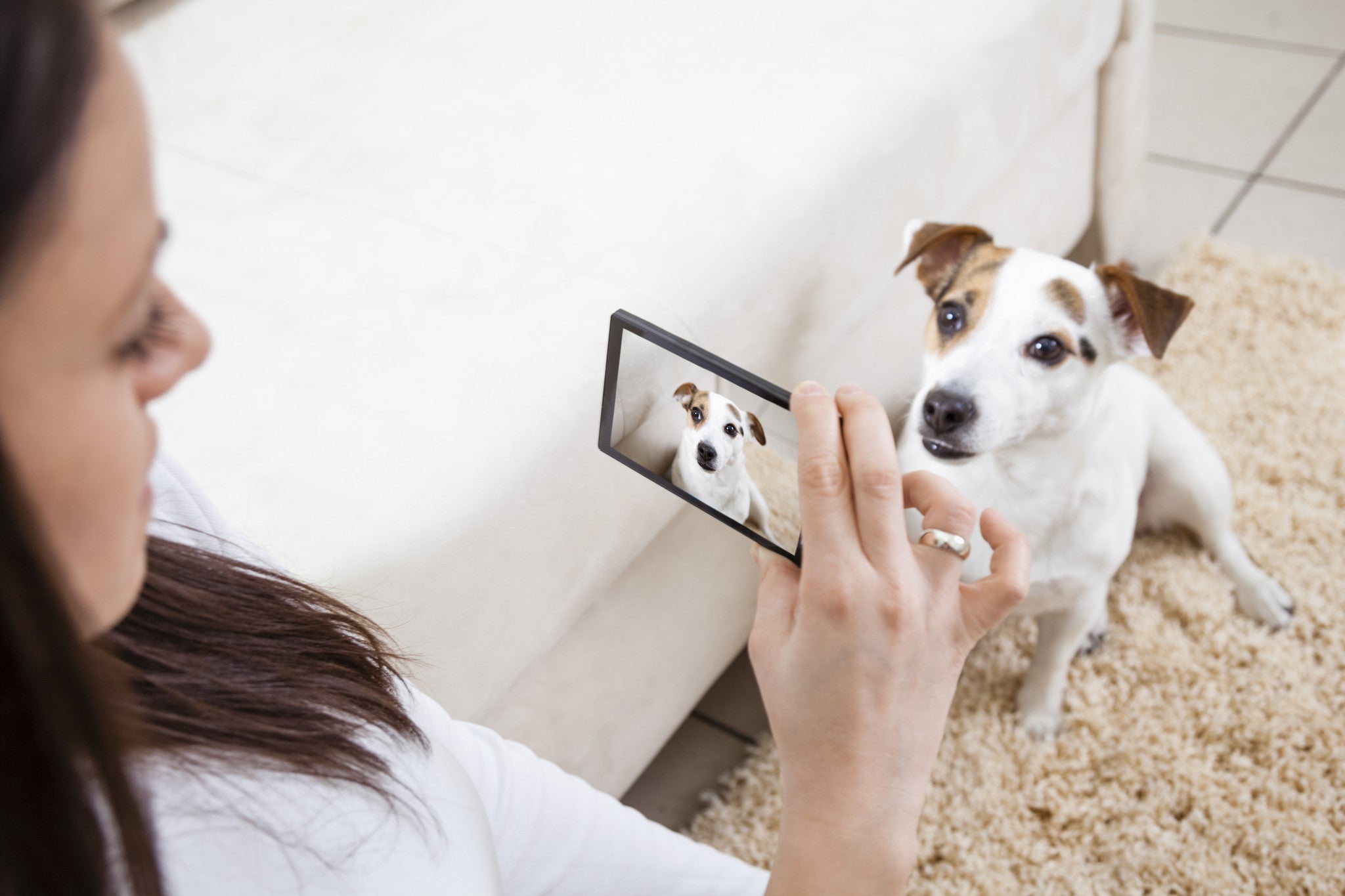 Top Dog Influencers to Follow on Social Media