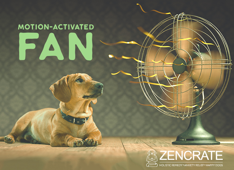 Motion Activated Fan